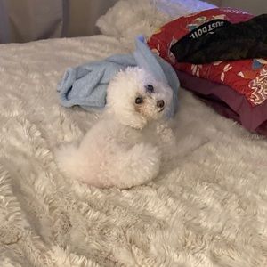 Meet your Posher, Leticia